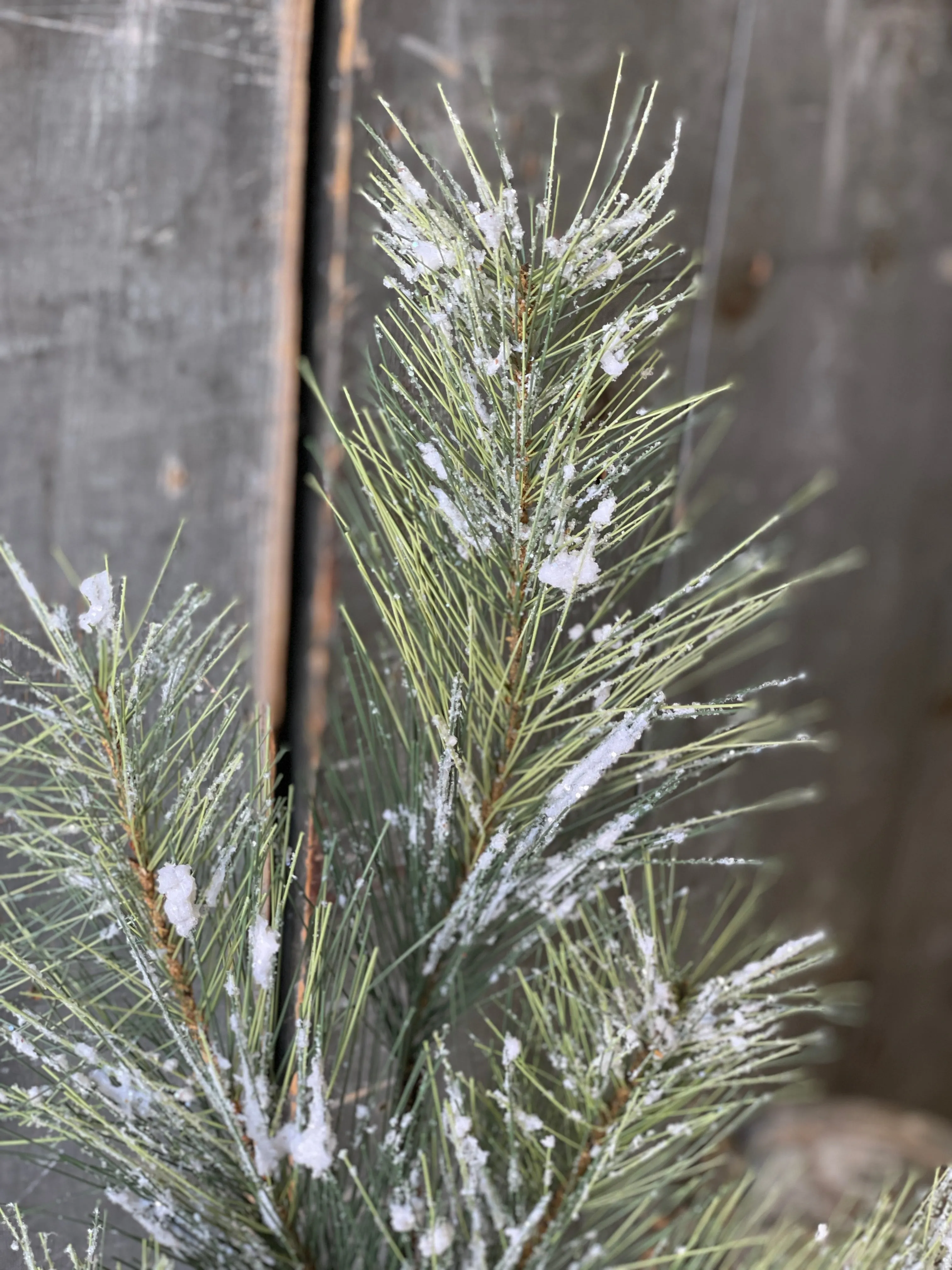 Snowy Fir Spray | 24"